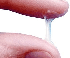 လူတစ်ယောက်ရဲ့လျှို့ဝှက်ချက်ကပုံမှန်နဲ့ဘယ်လိုတူသလဲ။