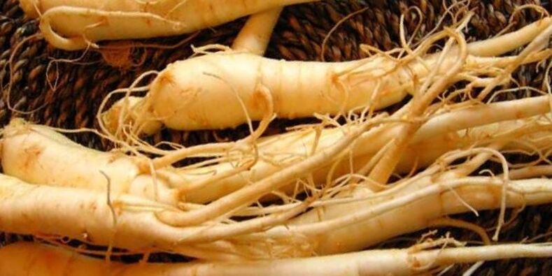 အာနိသင်တိုးစေရန် ဂျင်ဆင်းအမြစ်